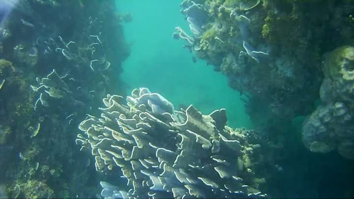 Coco Cabana Romblon Agpanabat Esterno foto