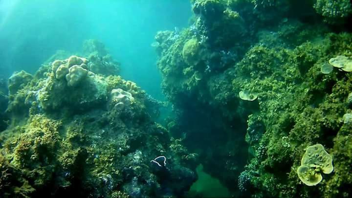 Coco Cabana Romblon Agpanabat Esterno foto
