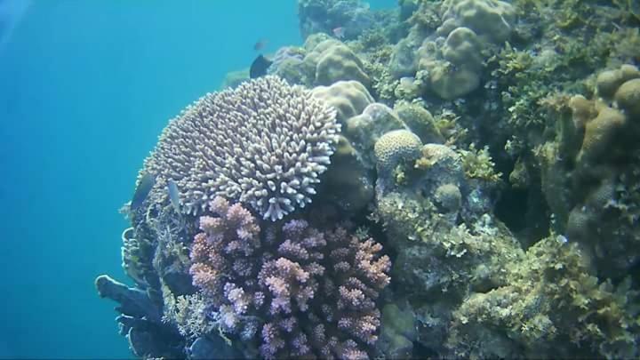 Coco Cabana Romblon Agpanabat Esterno foto